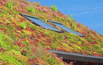 Torsonce living roof systems