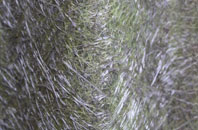 Torsonce fibreglass roof work